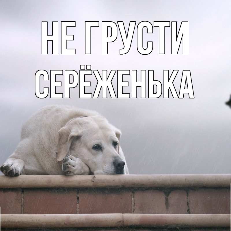 Картинка Не грусти, Серёженька