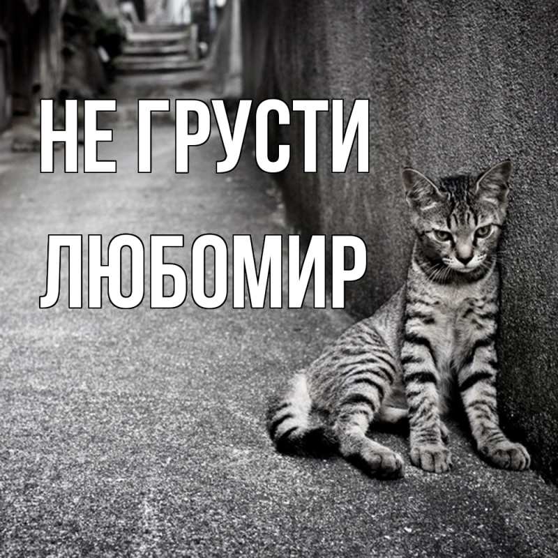 Картинка Не грусти, Любомир