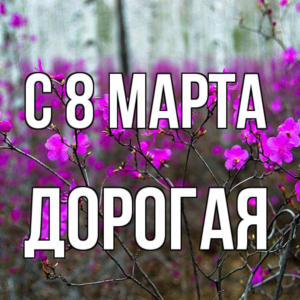 Открытка на каждый день с именем, Дорогая C 8 МАРТА дикие цветы Прикольная открытка с пожеланием онлайн скачать бесплатно 