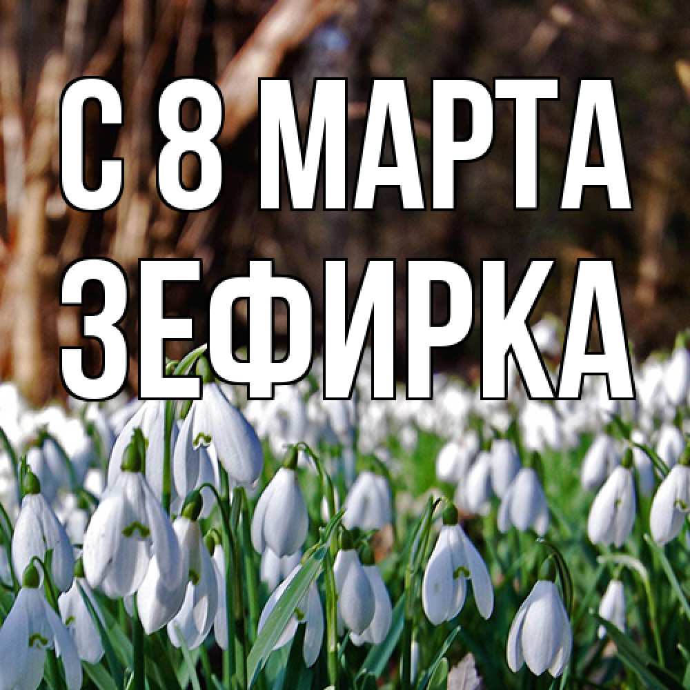 Открытка на каждый день с именем, зефирка C 8 МАРТА с подснежниками 1 Прикольная открытка с пожеланием онлайн скачать бесплатно 