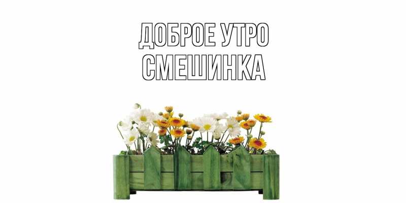 Картинка Доброе утро, Смешинка