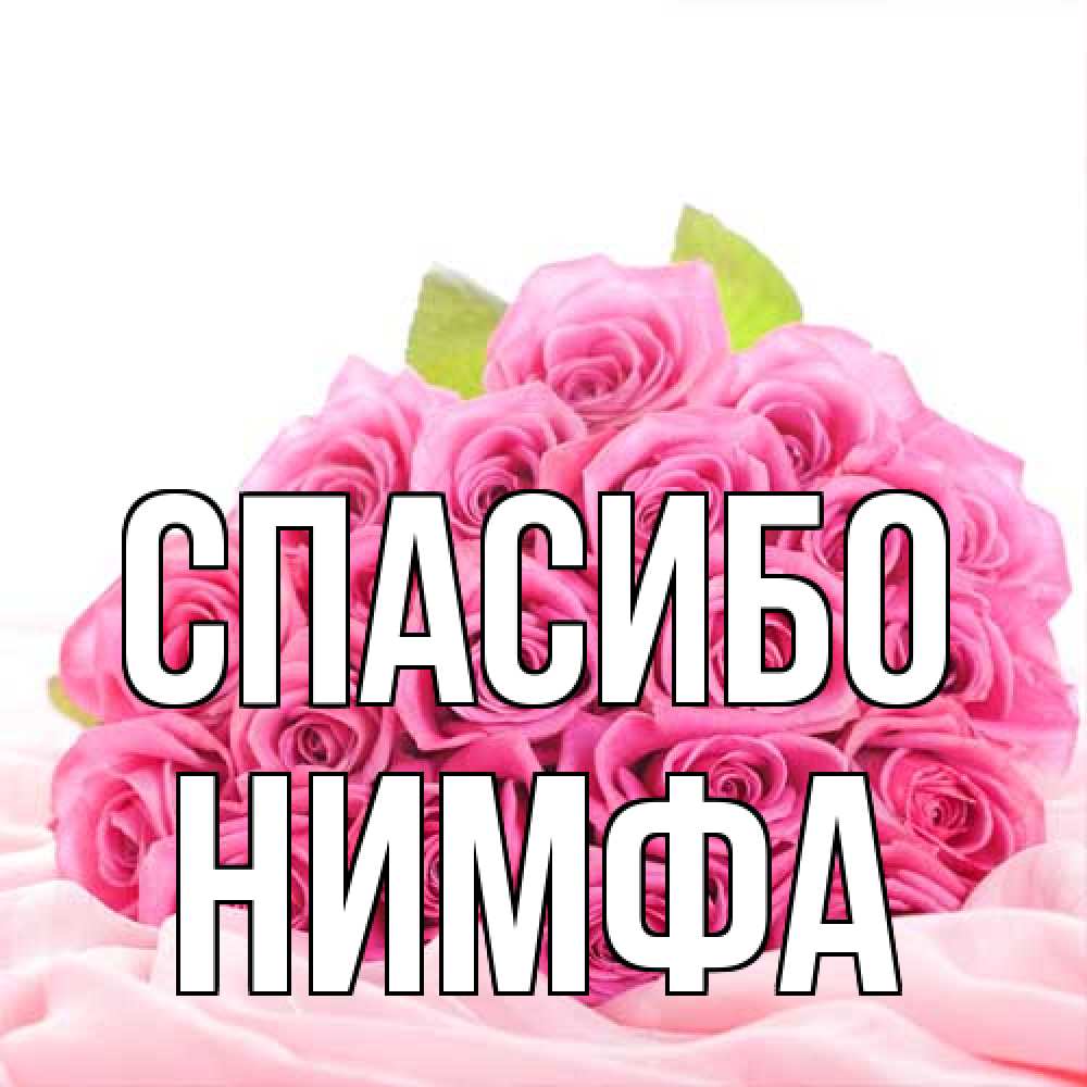 Открытка на каждый день с именем, Нимфа Спасибо розовые розы с подписью Прикольная открытка с пожеланием онлайн скачать бесплатно 