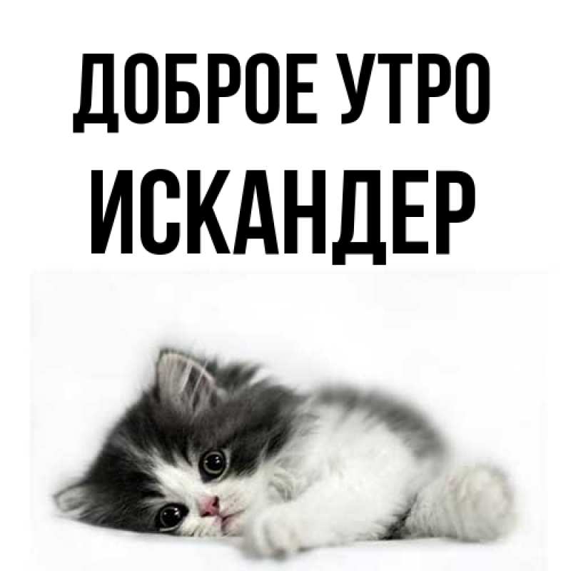 Картинка Доброе утро, Искандер