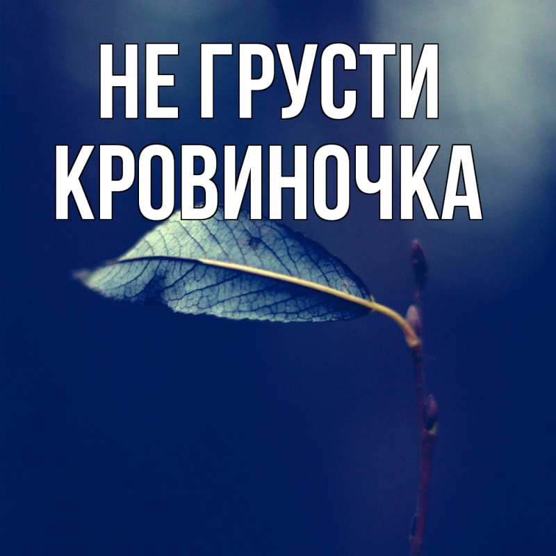 Картинка Не грусти, кровиночка