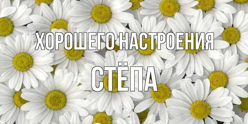 Открытка на каждый день с именем, Стёпа Хорошего настроения поляна ромашек Прикольная открытка с пожеланием онлайн скачать бесплатно 