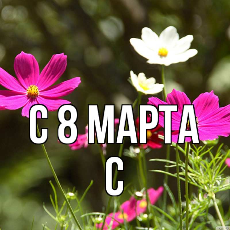 Картинка C 8 МАРТА, С