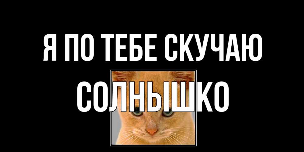 Открытка на каждый день с именем, Солнышко Я по тебе скучаю открытки рыжий котенок скучает по тебе Прикольная открытка с пожеланием онлайн скачать бесплатно 
