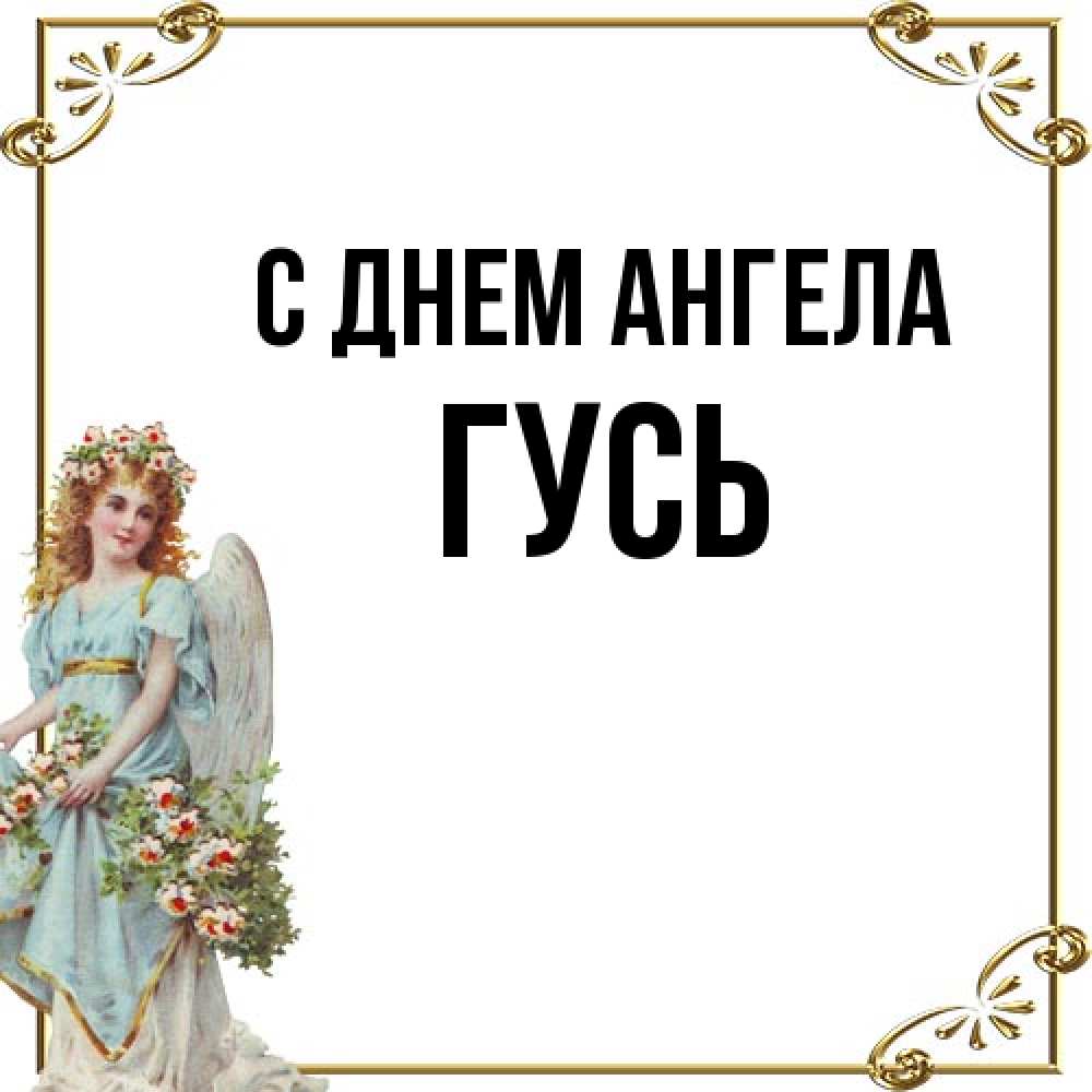 Открытка на каждый день с именем, Гусь С днем ангела с именинами от девушки ангела Прикольная открытка с пожеланием онлайн скачать бесплатно 