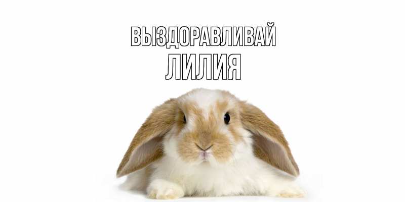 Картинка Выздоравливай, Лилия