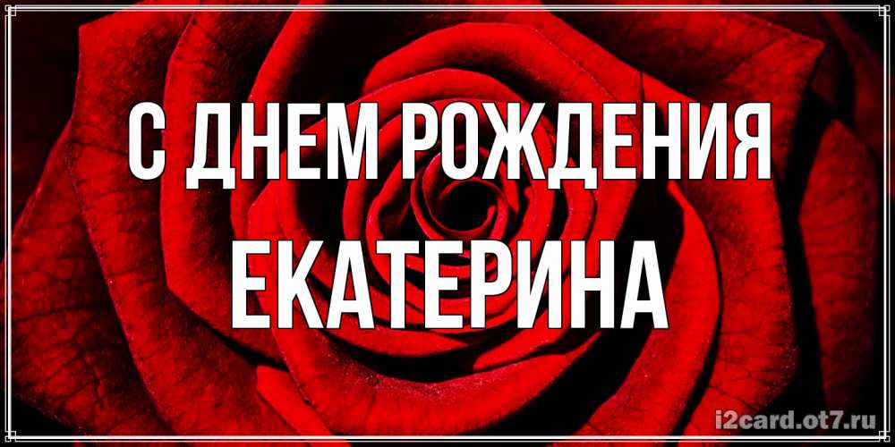 Открытка на каждый день с именем, Екатерина С днем рождения алая роза Прикольная открытка с пожеланием онлайн скачать бесплатно 