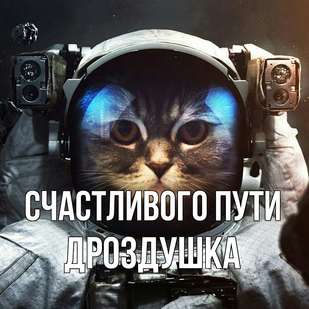 Открытка на каждый день с именем, Дроздушка Счастливого пути желает удачно добраться Прикольная открытка с пожеланием онлайн скачать бесплатно 