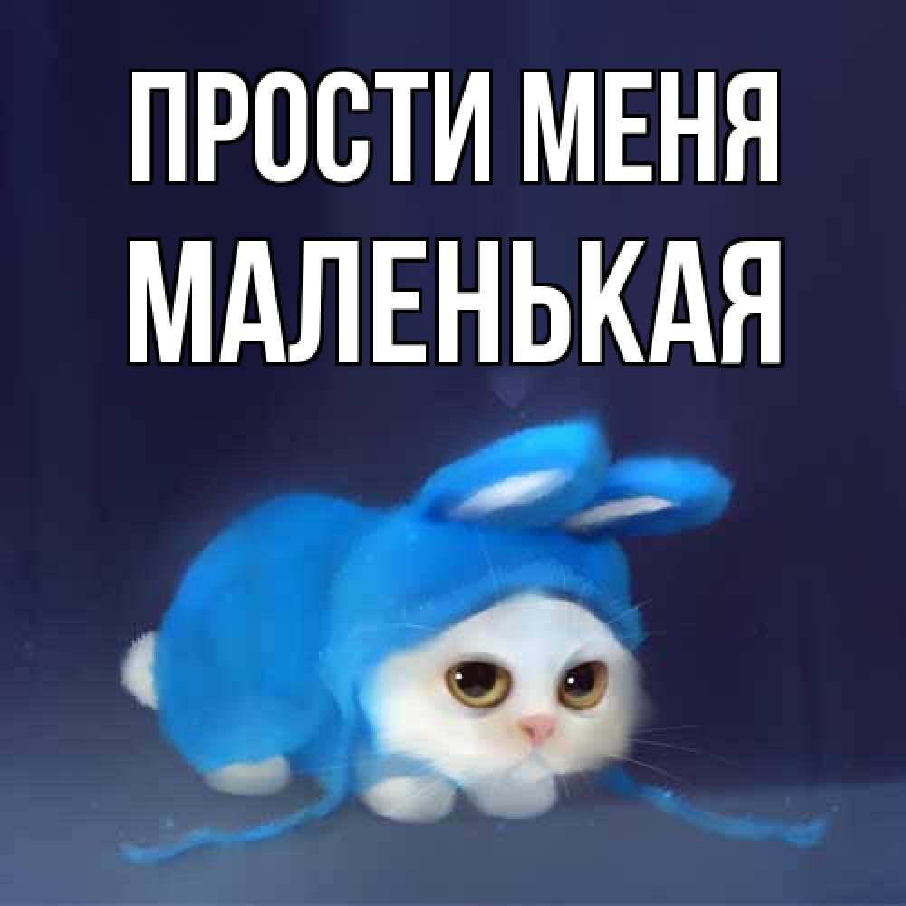 Открытка на каждый день с именем, Маленькая Прости меня невинный котозай просит прощения Прикольная открытка с пожеланием онлайн скачать бесплатно 