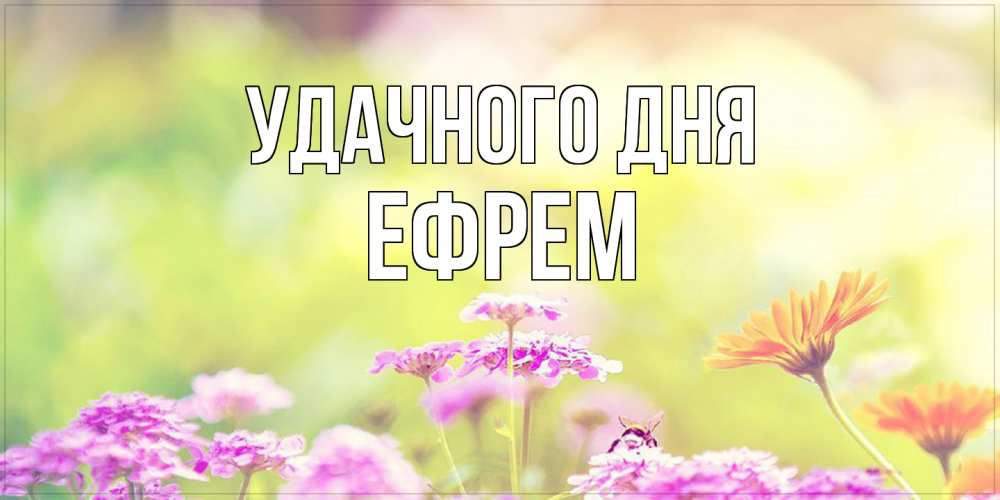 Открытка на каждый день с именем, Ефрем Удачного дня красивая открытка с летней темой Прикольная открытка с пожеланием онлайн скачать бесплатно 