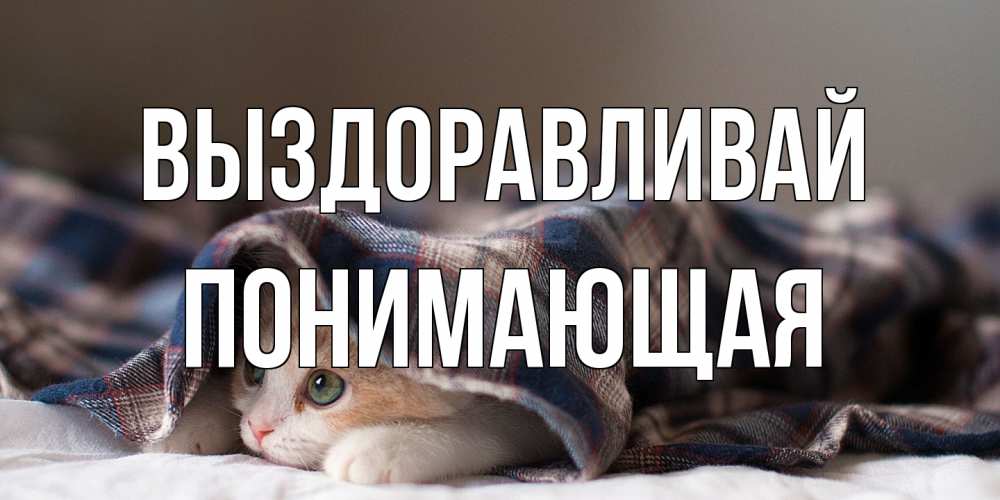 Открытка на каждый день с именем, Понимающая Выздоравливай не болейте с котиком Прикольная открытка с пожеланием онлайн скачать бесплатно 