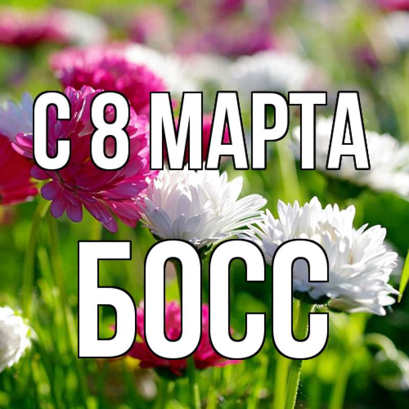 Картинка C 8 МАРТА, Босс