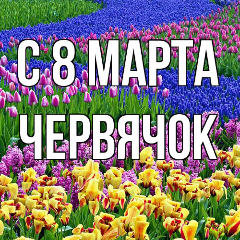 Картинка C 8 МАРТА, Червячок