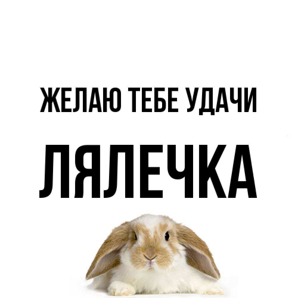 Открытка на каждый день с именем, лялечка Желаю тебе удачи открытки с произвольным текстом который можно вставить в открытку и создать ее самостоятельно бесплатно онлайн Прикольная открытка с пожеланием онлайн скачать бесплатно 