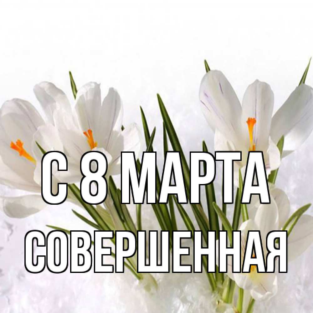 Открытка на каждый день с именем, Совершенная C 8 МАРТА под снегом Прикольная открытка с пожеланием онлайн скачать бесплатно 