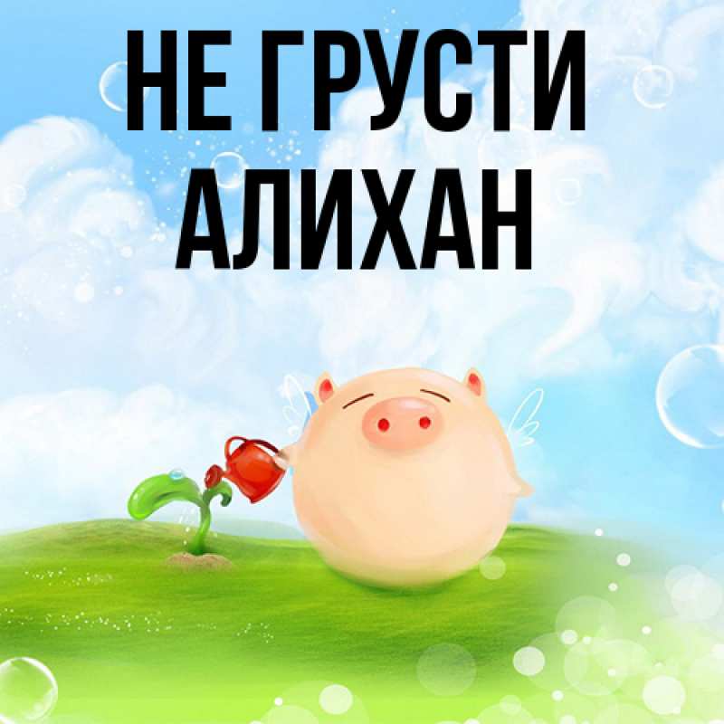 Картинка Не грусти, Алихан