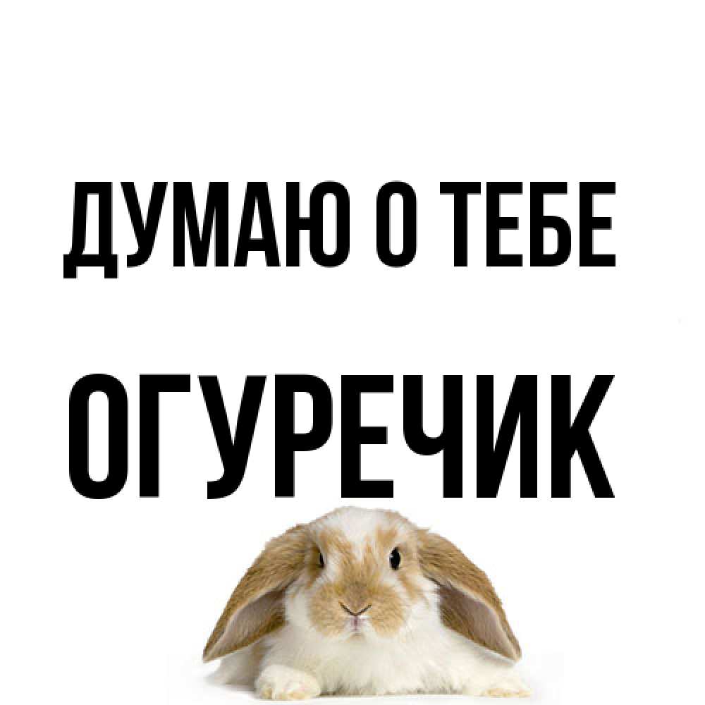 Открытка на каждый день с именем, Огуречик Думаю о тебе подписать своими руками онлайн Прикольная открытка с пожеланием онлайн скачать бесплатно 