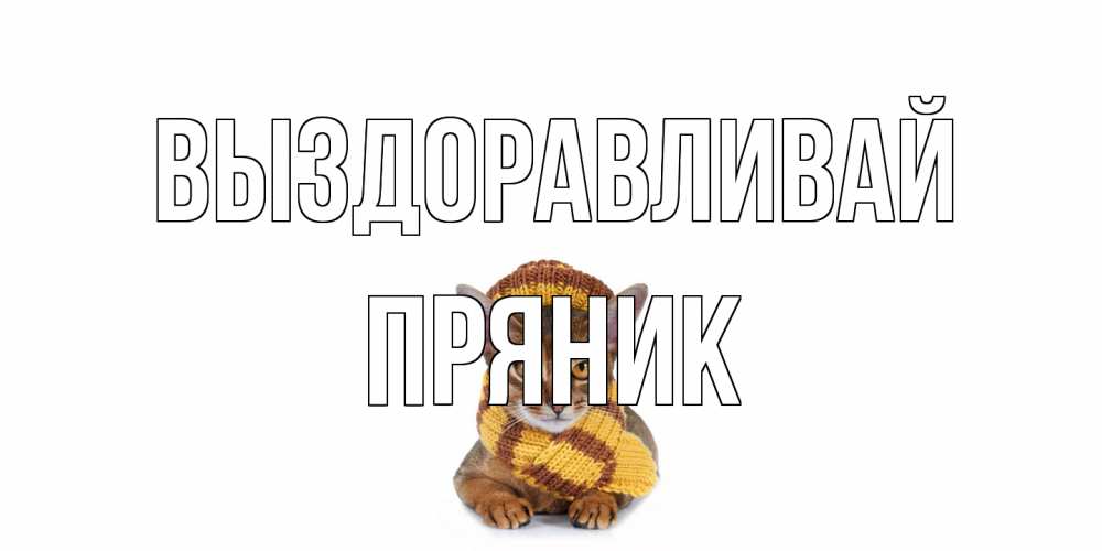 Открытка на каждый день с именем, Пряник Выздоравливай родные не болейте Прикольная открытка с пожеланием онлайн скачать бесплатно 