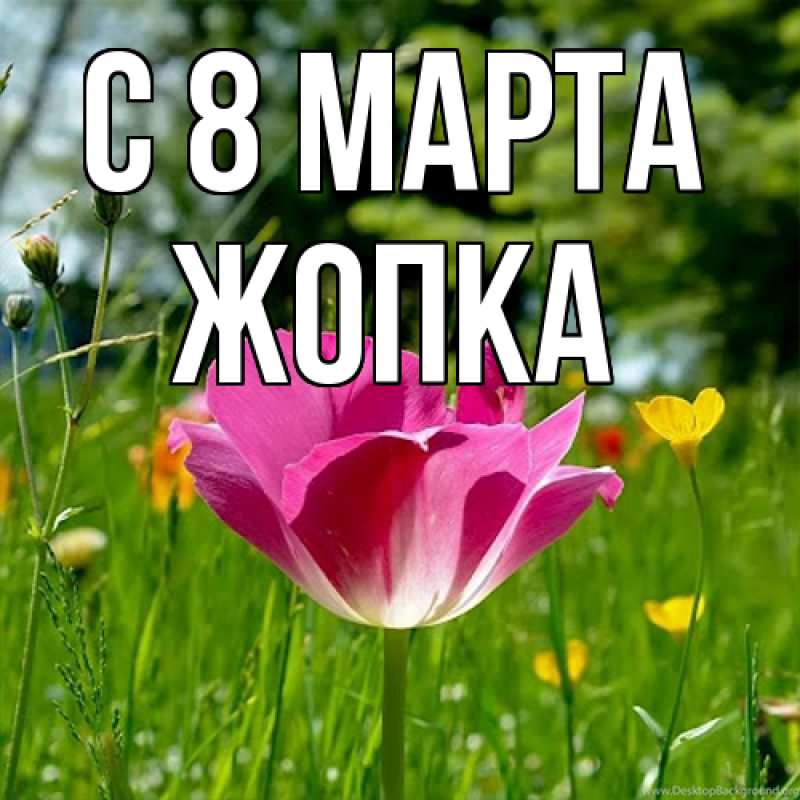 Картинка C 8 МАРТА, Жопка