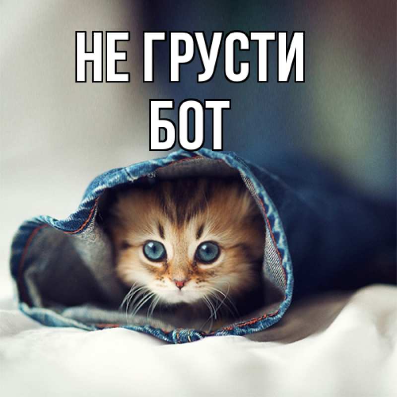 Картинка Не грусти, Бот