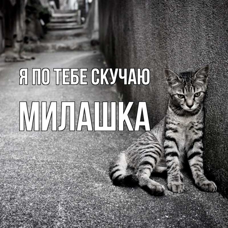 Картинка Я по тебе скучаю, Милашка