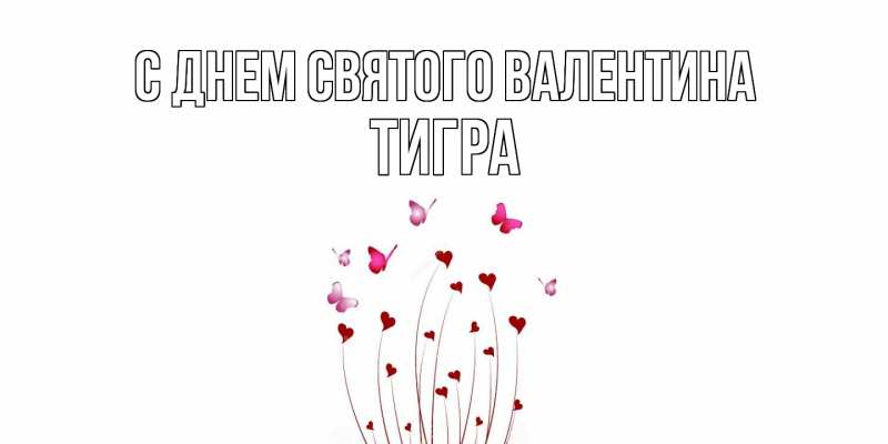 Картинка С днем Святого Валентина, Тигра
