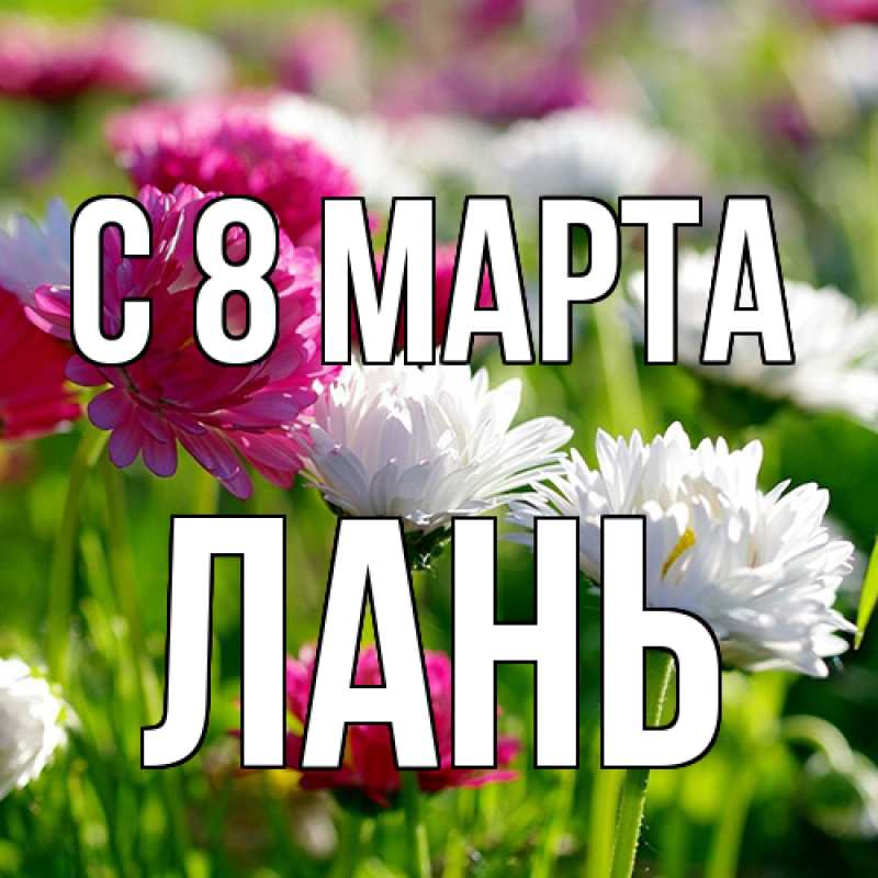 Картинка C 8 МАРТА, лань