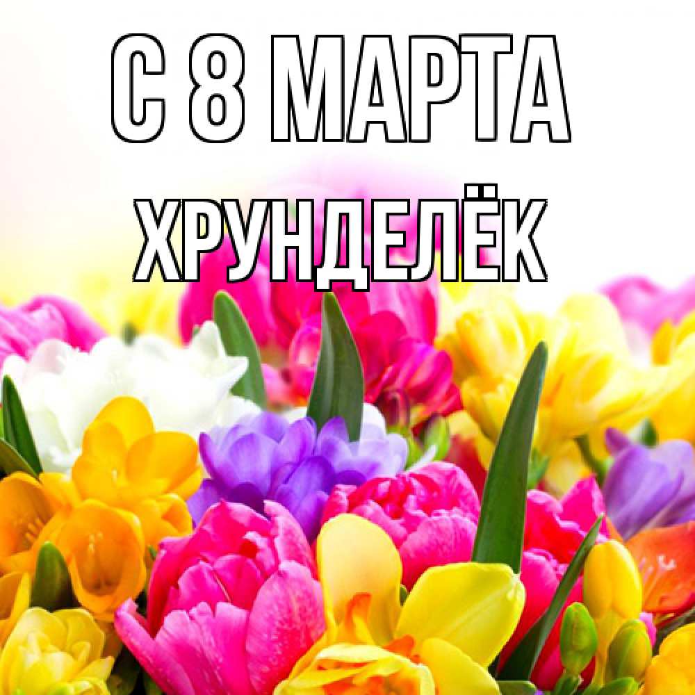 Открытка на каждый день с именем, Хрунделёк C 8 МАРТА тюльпаны Прикольная открытка с пожеланием онлайн скачать бесплатно 