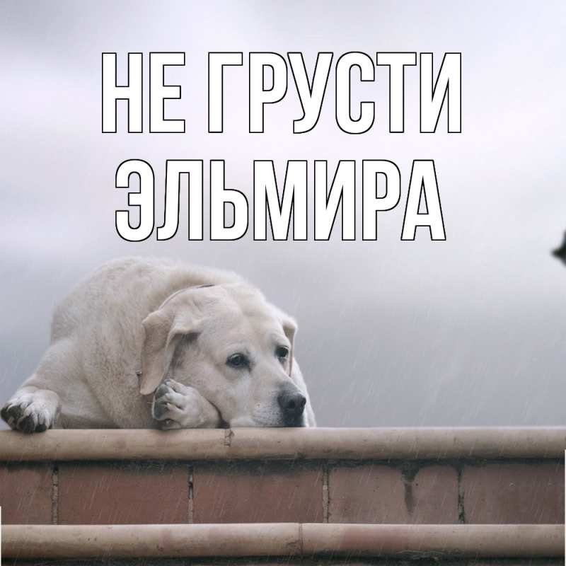 Картинка Не грусти, Эльмира