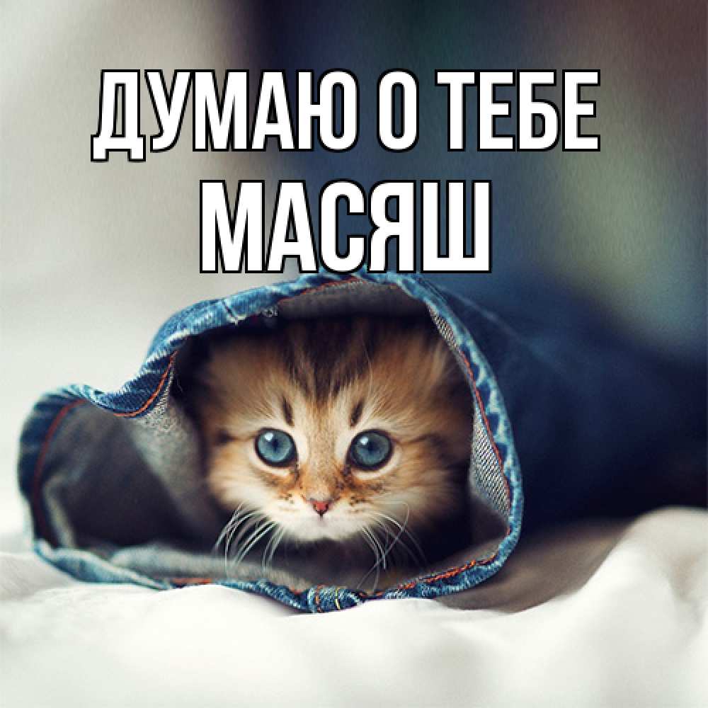 Открытка на каждый день с именем, Масяш Думаю о тебе мне без тебя плохо Прикольная открытка с пожеланием онлайн скачать бесплатно 