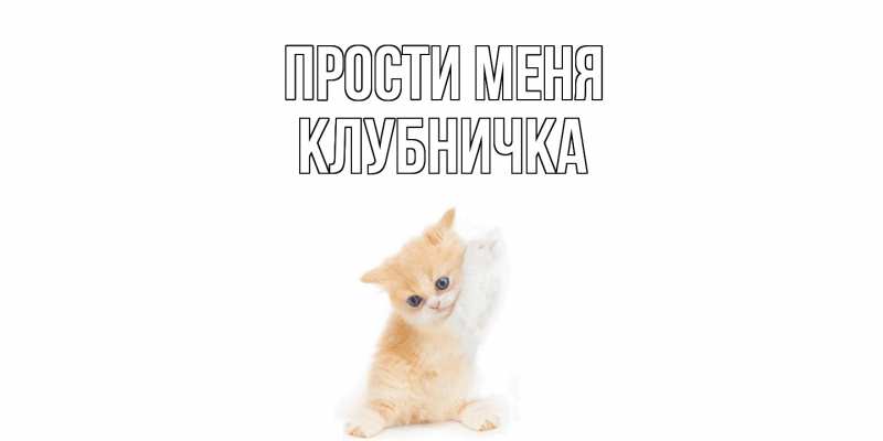 Картинка Прости меня, клубничка