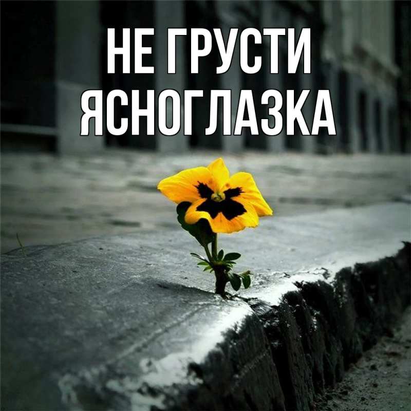 Картинка Не грусти, ясноглазка
