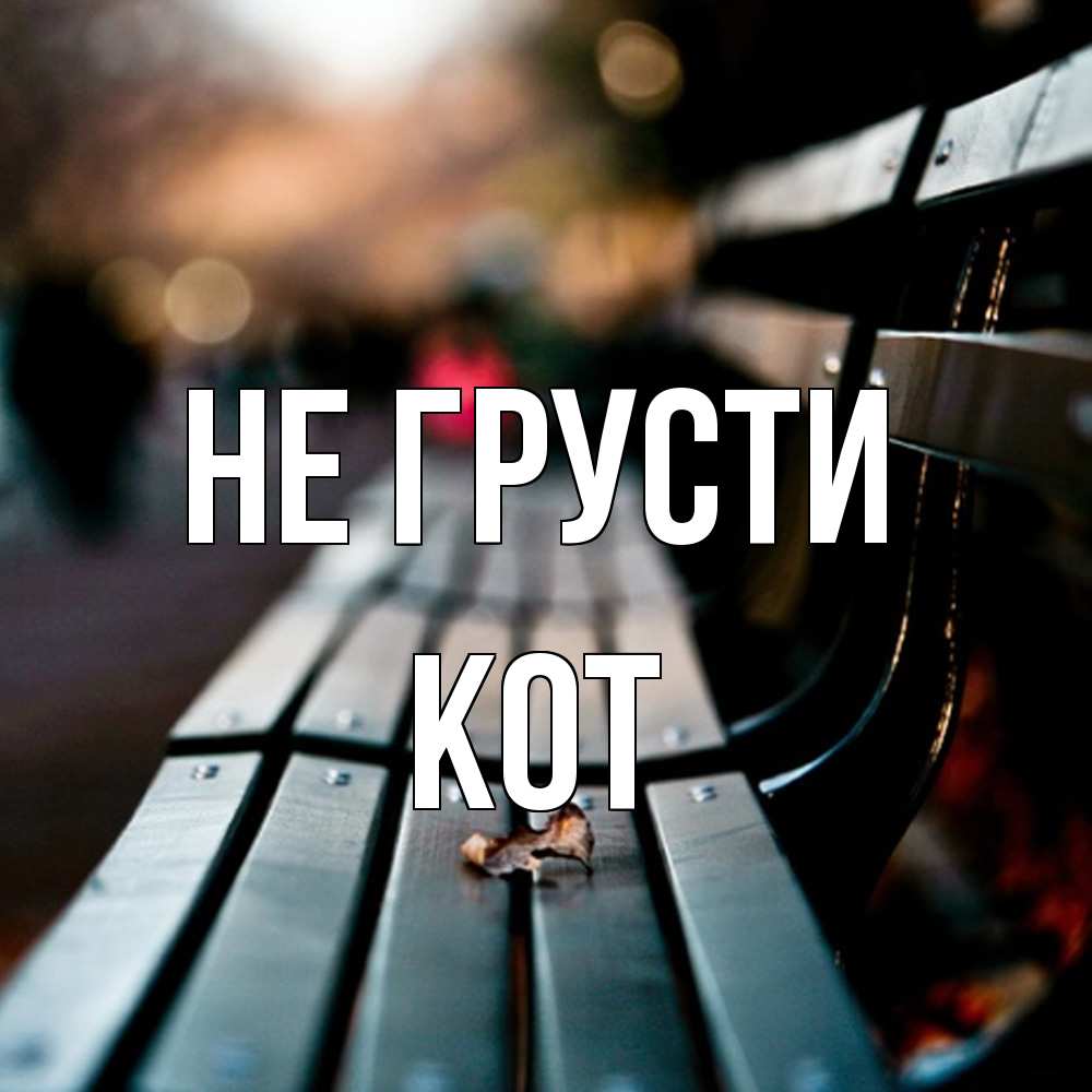 Открытка на каждый день с именем, Кот Не грусти размытый фон Прикольная открытка с пожеланием онлайн скачать бесплатно 