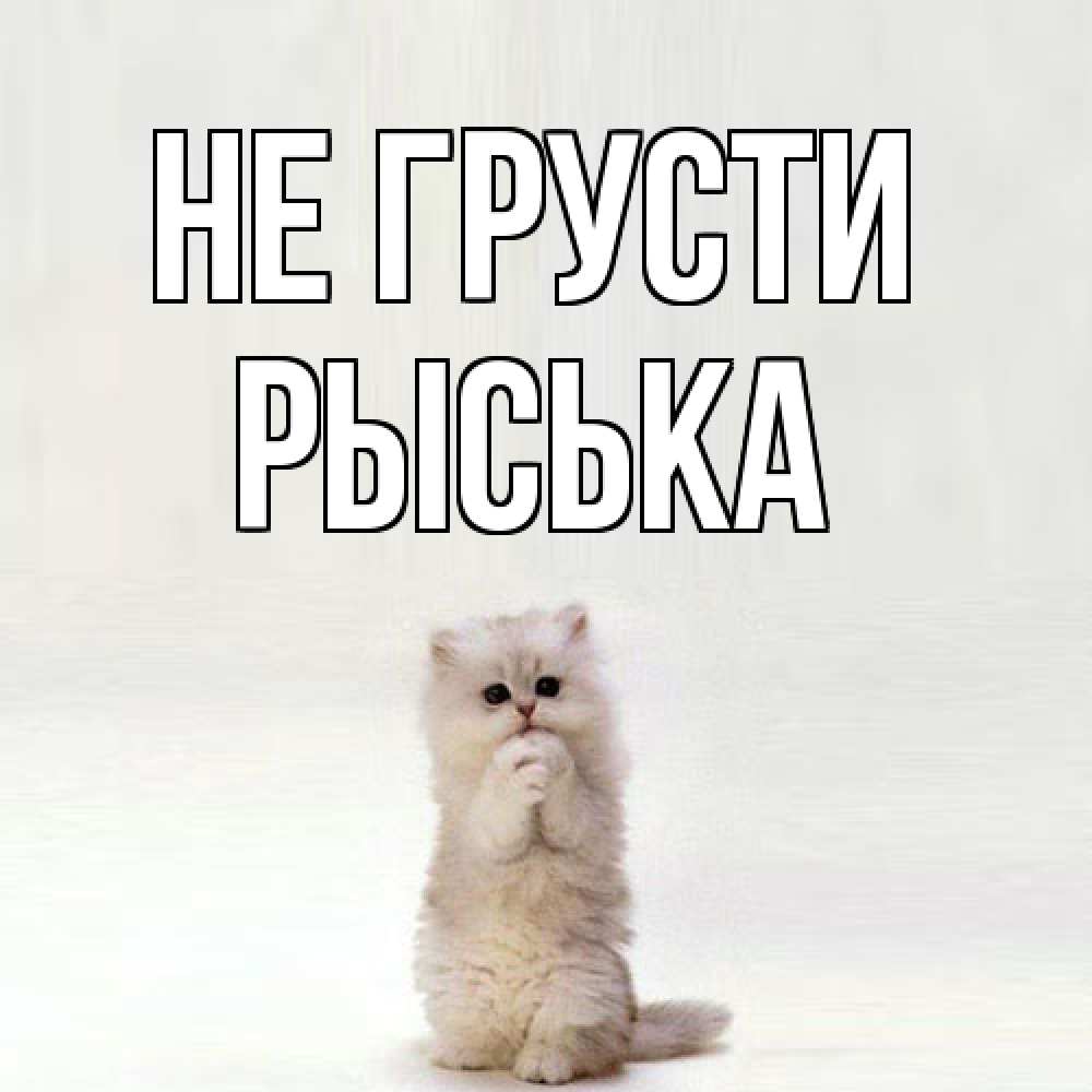 Открытка на каждый день с именем, Рыська Не грусти грустный кот Прикольная открытка с пожеланием онлайн скачать бесплатно 