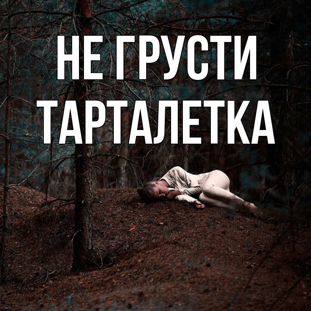 Открытка на каждый день с именем, Тарталетка Не грусти лес Прикольная открытка с пожеланием онлайн скачать бесплатно 