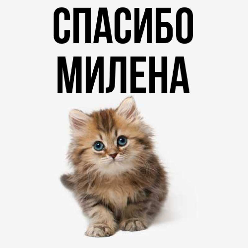 Картинка Спасибо, Милена