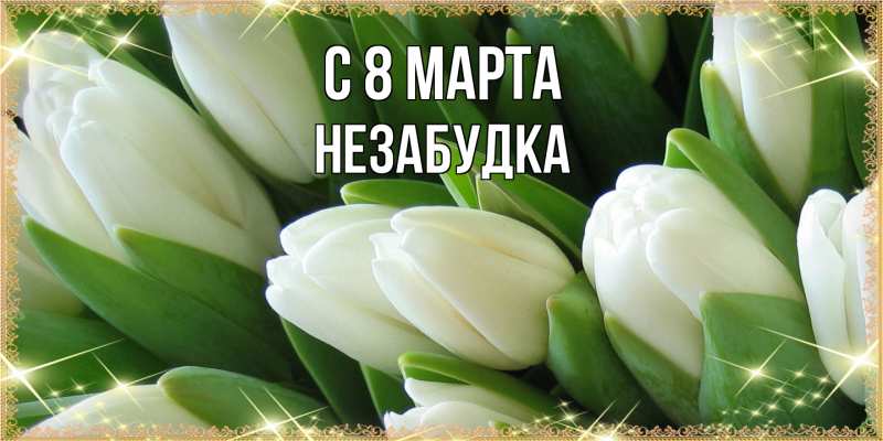 Картинка C 8 МАРТА, Незабудка