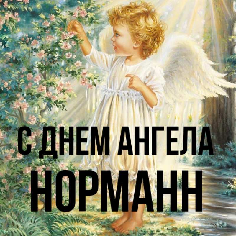 Картинка С днем ангела, Норманн
