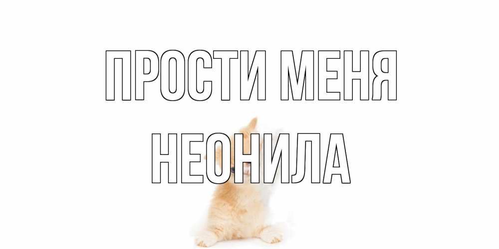 Открытка на каждый день с именем, Неонила Прости меня кот Прикольная открытка с пожеланием онлайн скачать бесплатно 