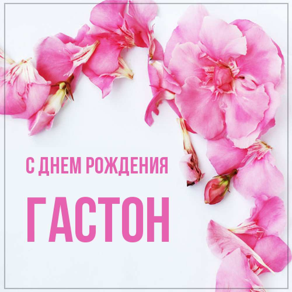 Открытка на каждый день с именем, Гастон С днем рождения Красивая открытка для поздравления с днем рождения Прикольная открытка с пожеланием онлайн скачать бесплатно 