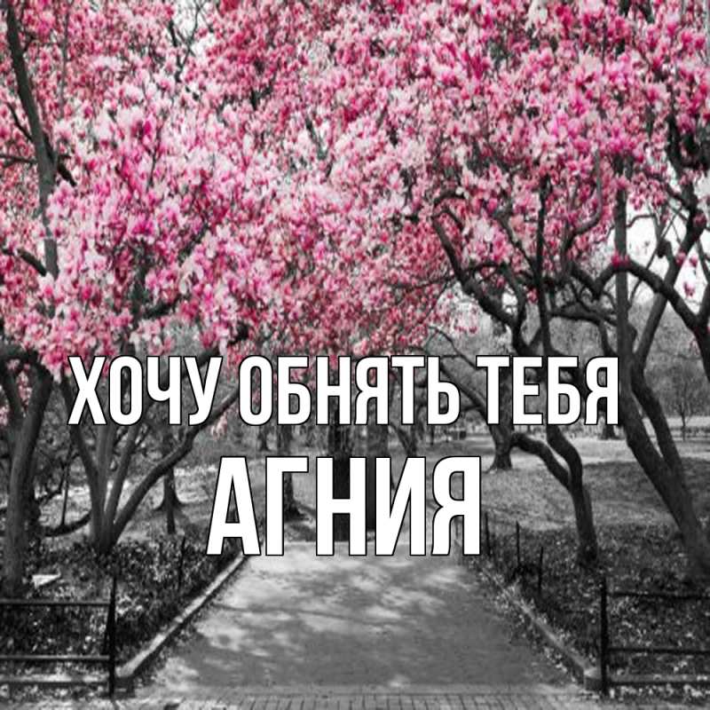 Картинка Хочу обнять тебя, Агния