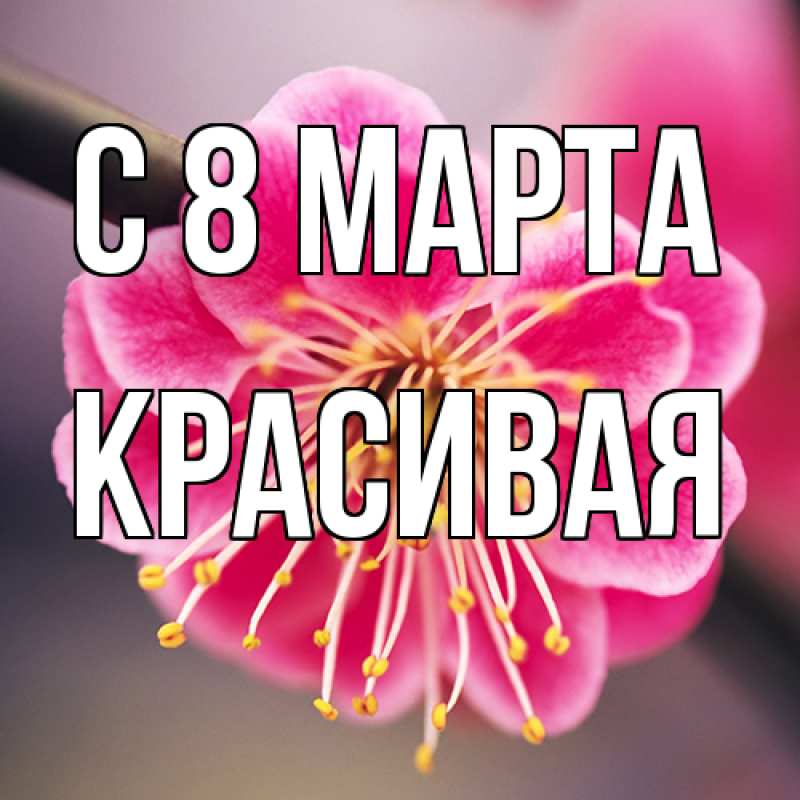Картинка C 8 МАРТА, Красивая