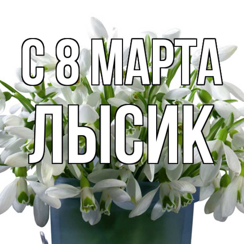 Картинка C 8 МАРТА, Лысик