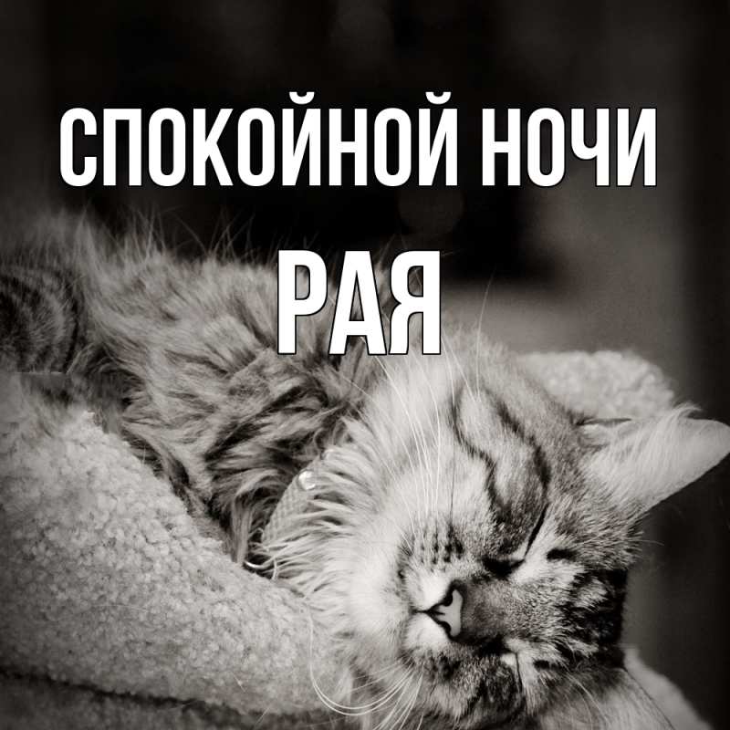 Картинка Спокойной ночи, Рая