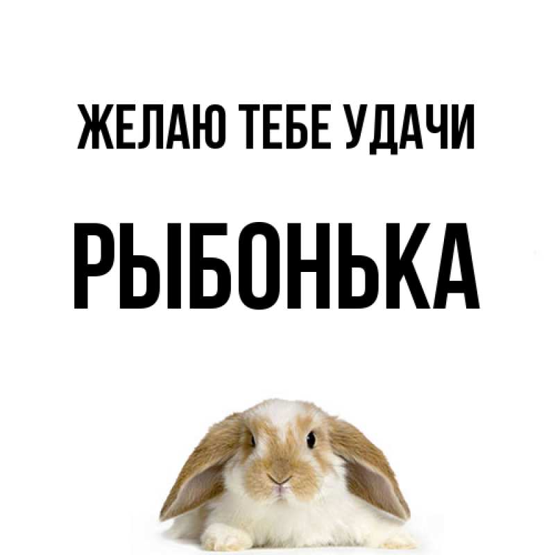 Картинка Желаю тебе удачи, Рыбонька