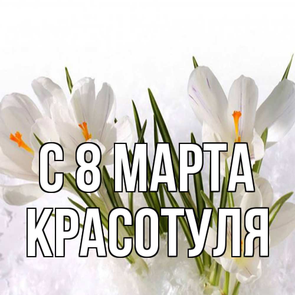 Открытка на каждый день с именем, Красотуля C 8 МАРТА под снегом Прикольная открытка с пожеланием онлайн скачать бесплатно 