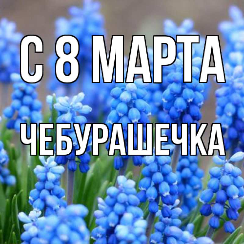 Картинка C 8 МАРТА, Чебурашечка